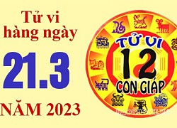 Tử vi 12 con giáp 21/3: 4 con giáp gặp quý nhân, tài lộc thăng hoa