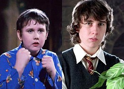 Đây mới là nam chính đúng nghĩa của Harry Potter, chỉ vì sự cố này mà mất cơ hội làm anh hùng?