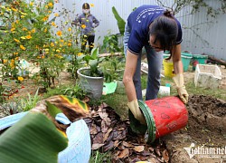 Biến khu đất bỏ hoang thành vườn cộng đồng xanh mướt nhờ rác thải