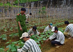 Phạm nhân nào được phép ra ngoài trại giam lao động?