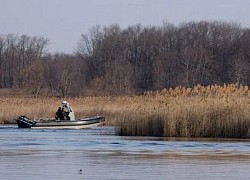 Canada: 8 người thiệt mạng tại khu vực đầm lầy khi vượt biên sang Mỹ