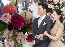 Son Ye Jin liên tục hoạt động MXH sau thời gian ở ẩn và vướng tin ly hôn Hyun Bin