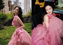 Diễn viên Angelababy dự sự kiện cùng loạt trang phục thời thượng