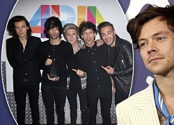 Harry Styles bàn về khả năng One Direction tái hợp