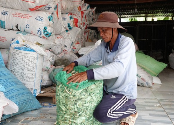 Người đàn ông 4 năm đi sưu tầm dược liệu, cung cấp miễn phí cho các phòng khám từ thiện