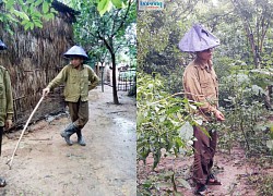 Gia đình sống gần như tuyệt giao với xã hội ở Thanh Hóa: Khai quật khu vườn bí ẩn, tìm thấy vô số sắt thép