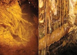 Tìm thấy các dạng sống 'ngoài hành tinh' trong một mỏ Uranium bị bỏ hoang ở Đức