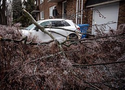 Canada: Bão tuyết khiến 2 người thiệt mạng, hàng triệu người bị mất điện