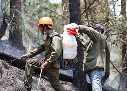 Đà Lạt: Vác từng can nước lên đồi cao chữa cháy rừng khu vực đèo Prenn