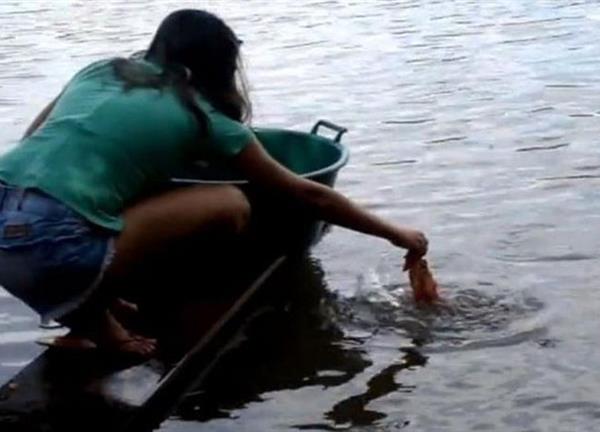 Clip: Màn câu cá piranha 'siêu độc' của thiếu nữ Brazil