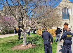 Mỹ: Xả súng tại thành phố Louisville, 5 người thiệt mạng