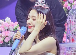 "Nữ thần đẹp nhất SM" Irene (Red Velvet) xinh như mộng trong tiệc sinh nhật, bất ngờ bật khóc trước rừng fan