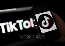 Tôi giật mình vì hơn nửa lớp ước mơ thành Tiktoker, Idol Tiktok