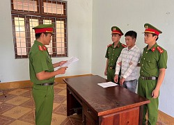 Kon Tum: Khởi tố kẻ trộm sâm Ngọc Linh