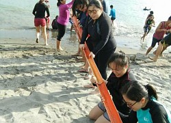 Nghỉ lễ vẫn phải đi team building cùng công ty, dân công sở phát ngán