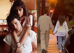 Shawn Mendes - Camila Cabello lần đầu lộ diện sau khoảnh khắc thân mật tại Coachella