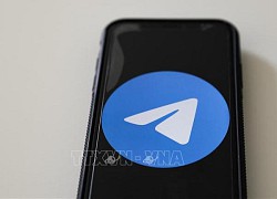 Brazil tạm đình chỉ ứng dụng Telegram