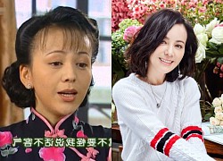 Vương Lâm - "mẹ kế" Triệu Vy: Bị vai diễn "dì Tuyết" vận vào đời, U60 vẫn phải sống cô độc?