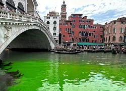 Nước ở kênh đào Venice bỗng xanh ngắt, cảnh sát Italia mở cuộc điều tra