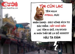 'Tìm chó lạc' khiến con phố im ắng