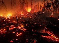 Cháy rừng gây thiệt hại lớn tại tỉnh Kurgan của Nga