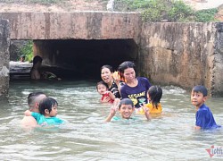 Nắng nóng như đổ lửa, kênh thủy lợi thành 'bể bơi' của người Nghệ An