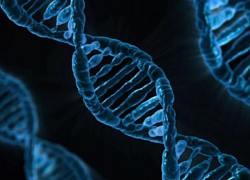 Em bé đầu tiên có DNA của 3 người chào đời tại Anh