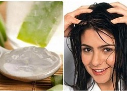 Mẹo phục hồi tóc hư tổn với nha đam