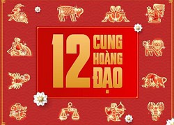 Tử vi 12 cung hoàng đạo 11/5: Sư Tử áp lực về tiền bạc