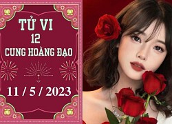 Tử vi vui 12 cung hoàng đạo ngày 11/5: Sư Tử bi quan, Bảo Bình cần yên tĩnh