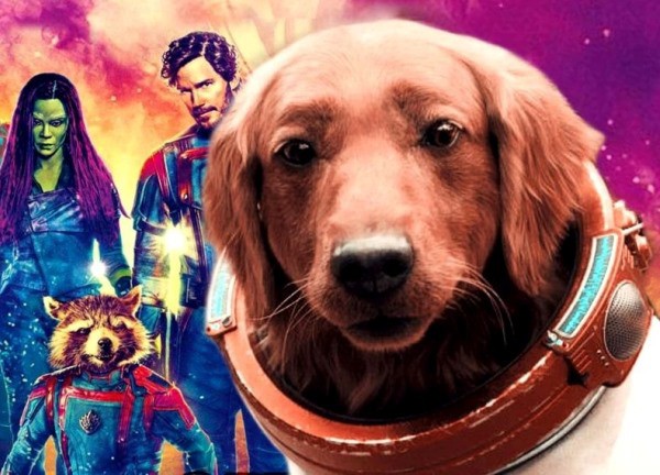 Giải mã thân phận của chú chó đáng yêu chiếm trọn spotlight trong Guardians of the Galaxy 3