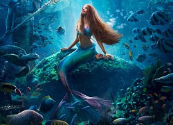 Những điều cần biết về live-action "Nàng tiên cá" của Disney