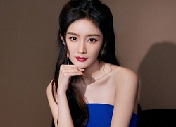 Rầm rộ tin 1 mỹ nhân đình đám Cbiz bí mật tái hôn, Dương Mịch và 2 cái tên cực hot bị réo gọi