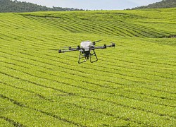 Sáu sáng kiến đổi mới có thể giúp nuôi sống 10 tỷ người trên thế giới