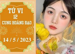 Tử vi vui 12 cung hoàng đạo ngày 14/5: Song Tử sáng tạo, Nhân Mã gượng ép