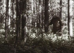 Bí ẩn về 'quái vật' Bigfoot ít người biết