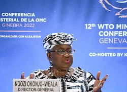 WTO kêu gọi đa dạng hóa chuỗi cung ứng để phục hồi thương mại