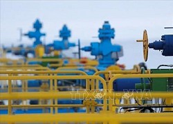 Tập đoàn năng lượng Gazprom của Nga ghi nhận lợi nhuận giảm hơn 41%