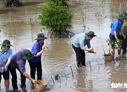 Trung ương Đoàn ra quân chiến dịch Thanh niên tình nguyện hè 2023