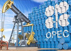 OPEC+ bắt đầu nhóm họp