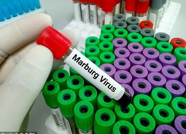 Tanzania tuyên bố chấm dứt đợt bùng phát virus Marburg