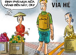 Cát cứ vỉa hè