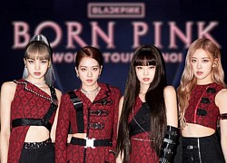 Dịch vụ săn vé Blackpink: Đề phòng 'tiền mất tật mang'