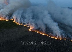 Trên 100 triệu người Mỹ bị ảnh hưởng do khói cháy rừng lan từ Canada