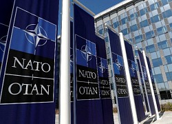 Vai trò của NATO ở châu Á có thực sự cần thiết?