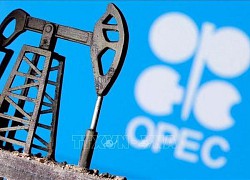 OPEC+ cân nhắc tiếp tục cắt giảm sản lượng dầu mỏ