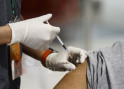 Cơ quan Dược phẩm châu Âu khuyến nghị cập nhật vaccine ngừa COVID-19