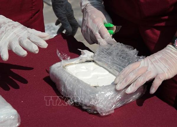 Croatia thu giữ 745 kg cocaine giấu trong các container