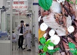 Vụ cả nhà ở Tây Ninh nhập viện sau bữa ăn: Cha đã mất, mẹ hiện nguy kịch, hé lộ bữa cơm định mệnh