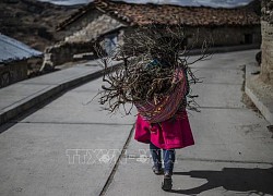 Báo động tình trạng hàng nghìn phụ nữ mất tích ở Peru